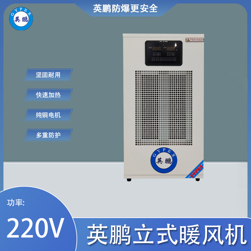 小功率-暖风机-3KW/220V
